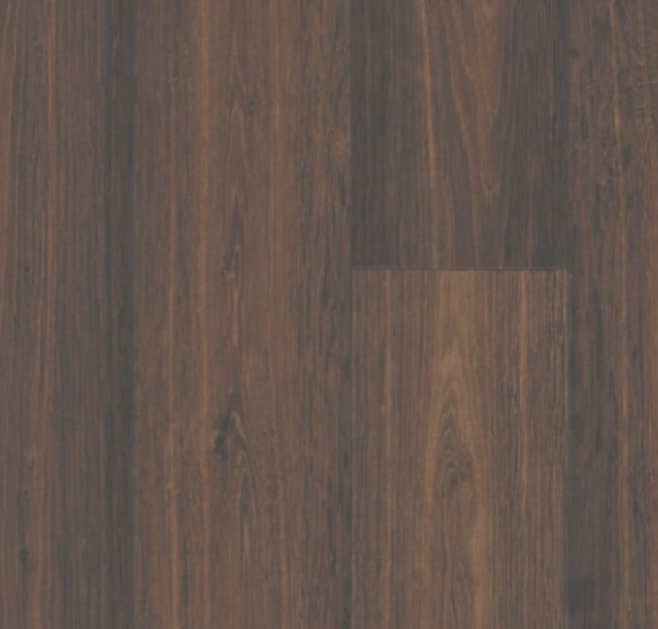 Elast 20 Classic-Kompakt 7003